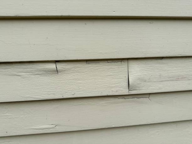 Best Hoarding Cleanup  in Sioux Falls, SD